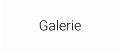 Galerie