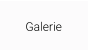 Galerie